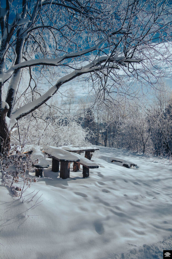 Zimowy spacer na Śnieżnicę – idealne miejsce na chwilę wytchnienia