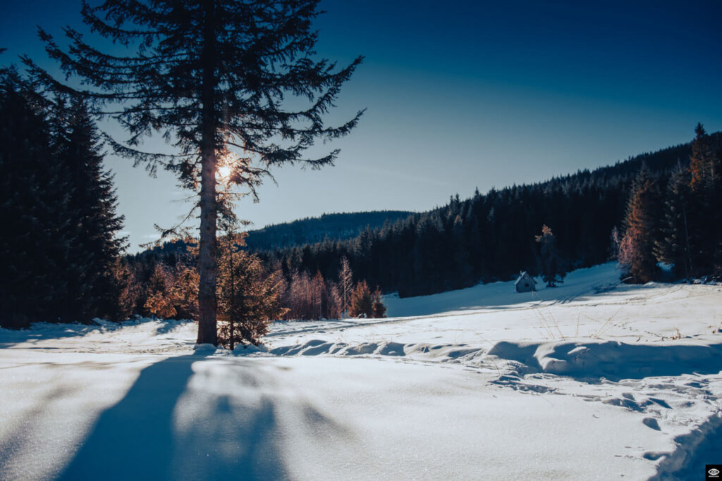 Spacer na Mogielicę – najwyższy szczyt Beskidu Wyspowego