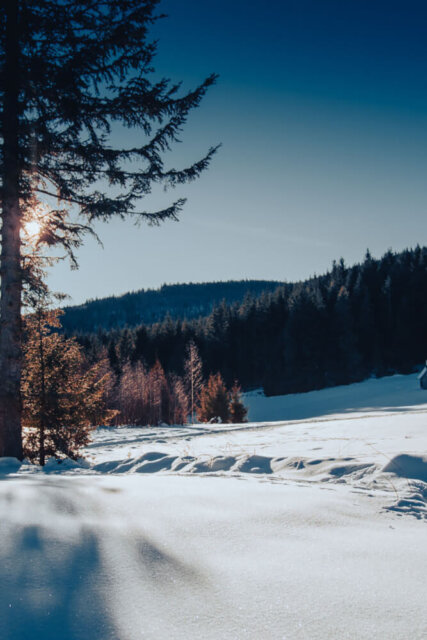 Spacer na Mogielicę – najwyższy szczyt Beskidu Wyspowego
